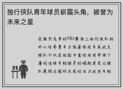 独行侠队青年球员崭露头角，被誉为未来之星