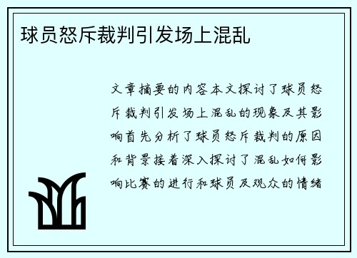 球员怒斥裁判引发场上混乱